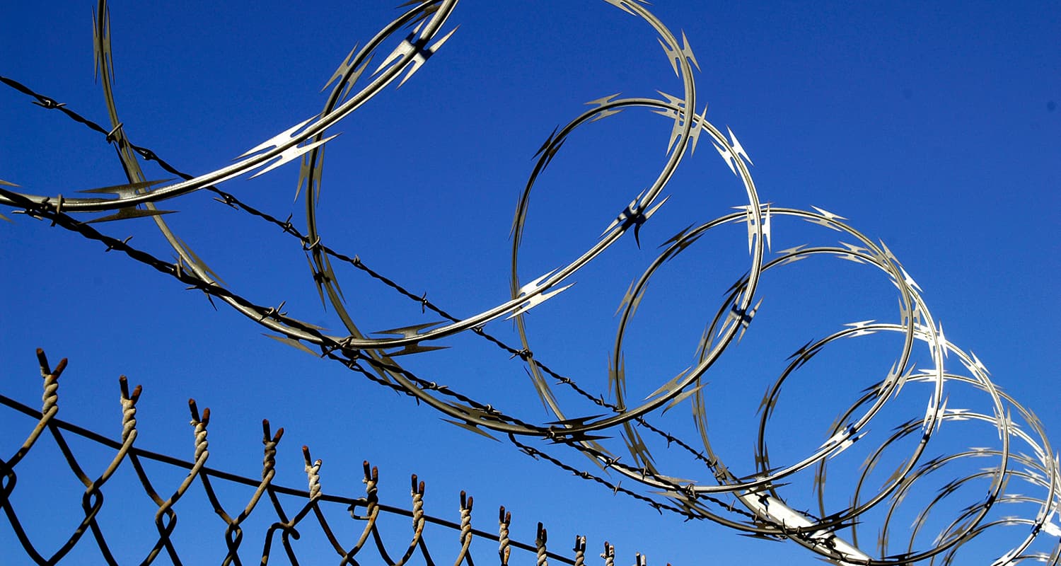 Safety net safety net main product image